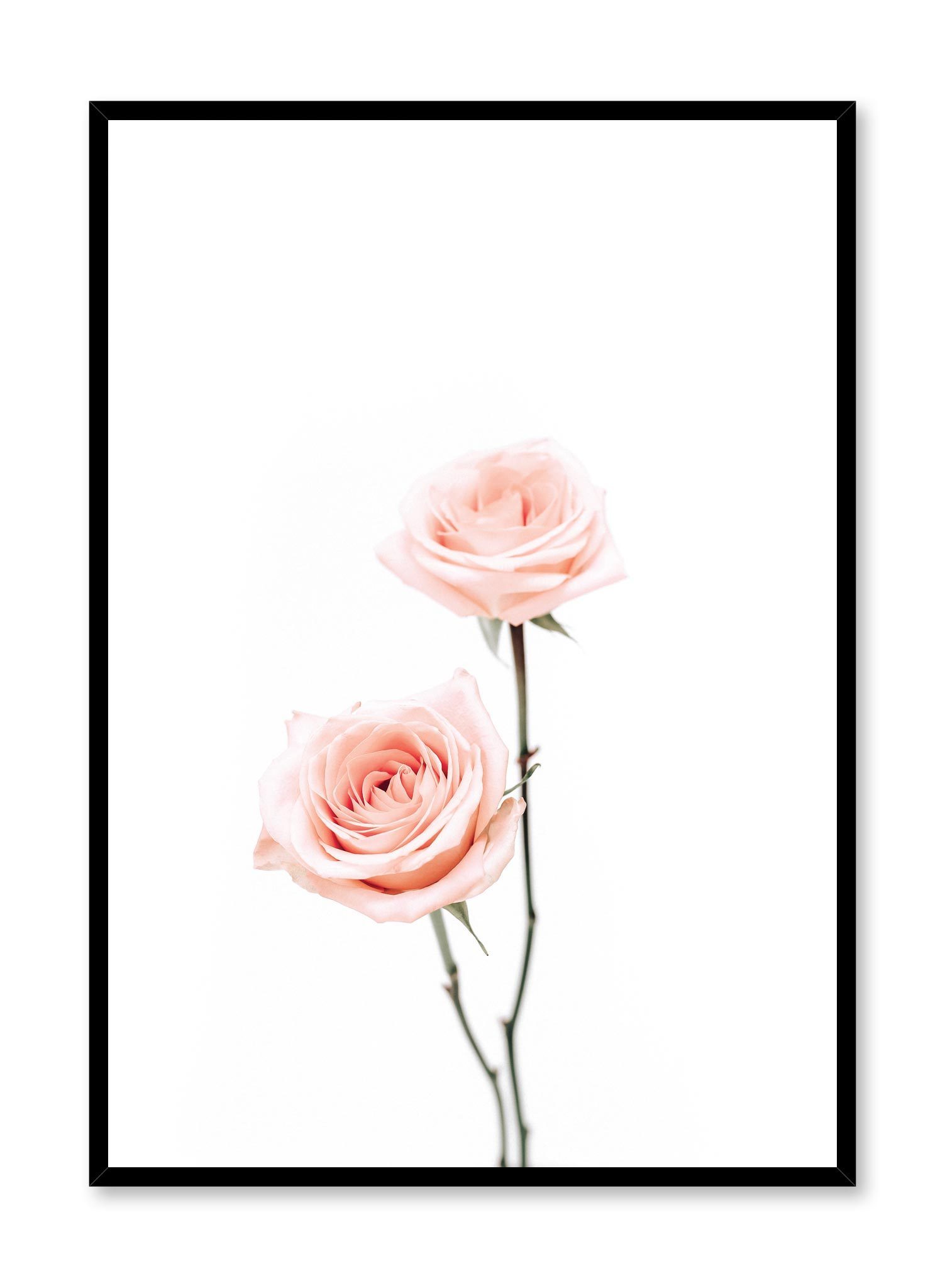 Pink Roses Poster Prints Wall Art Gift For Home Decoration 12x18 16x24 20x30 24x36 Inches