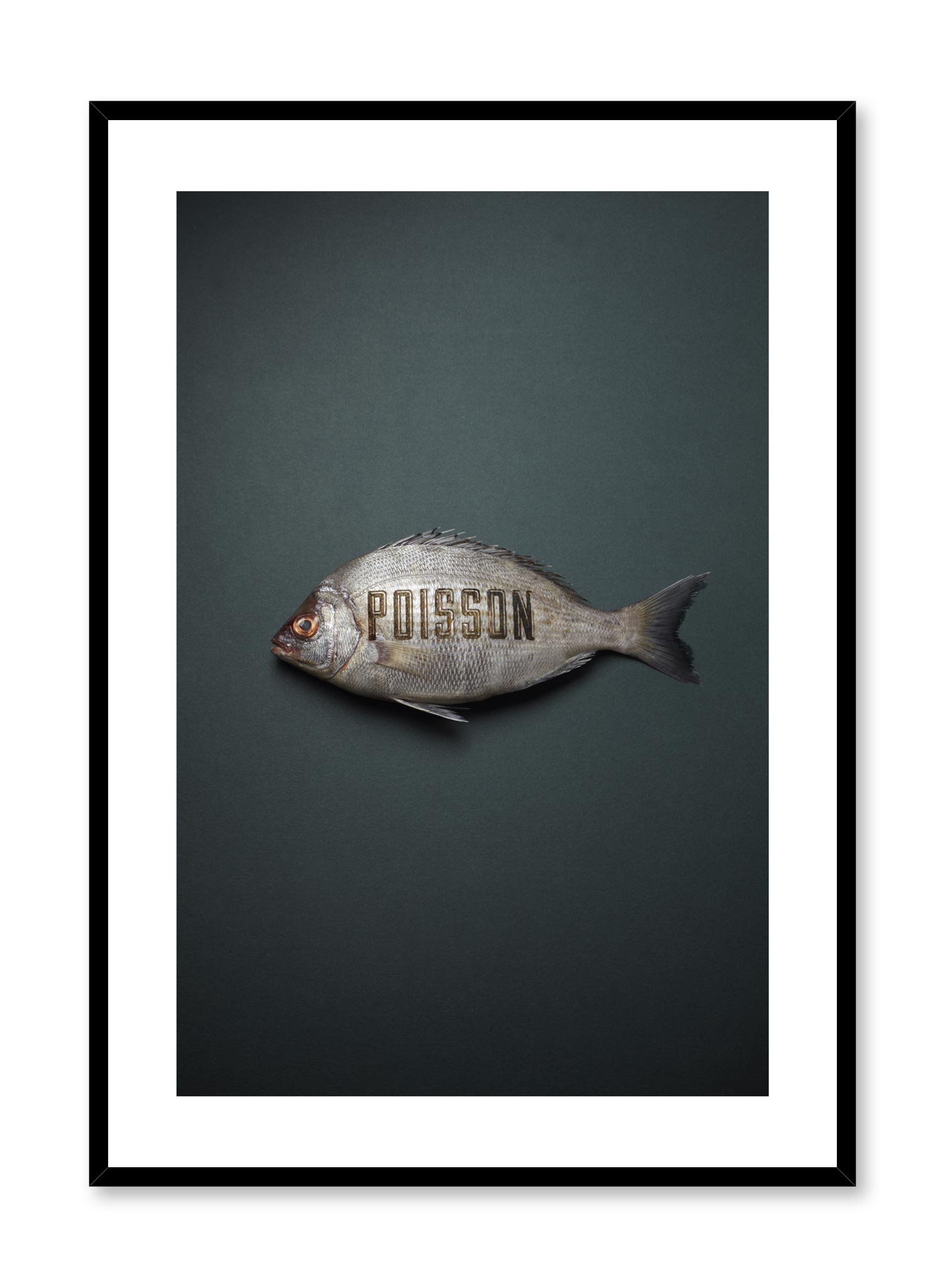 Poisson Poster Prints Wall Art Gift For Home Decoration 12x18 16x24 20x30 24x36 Inches