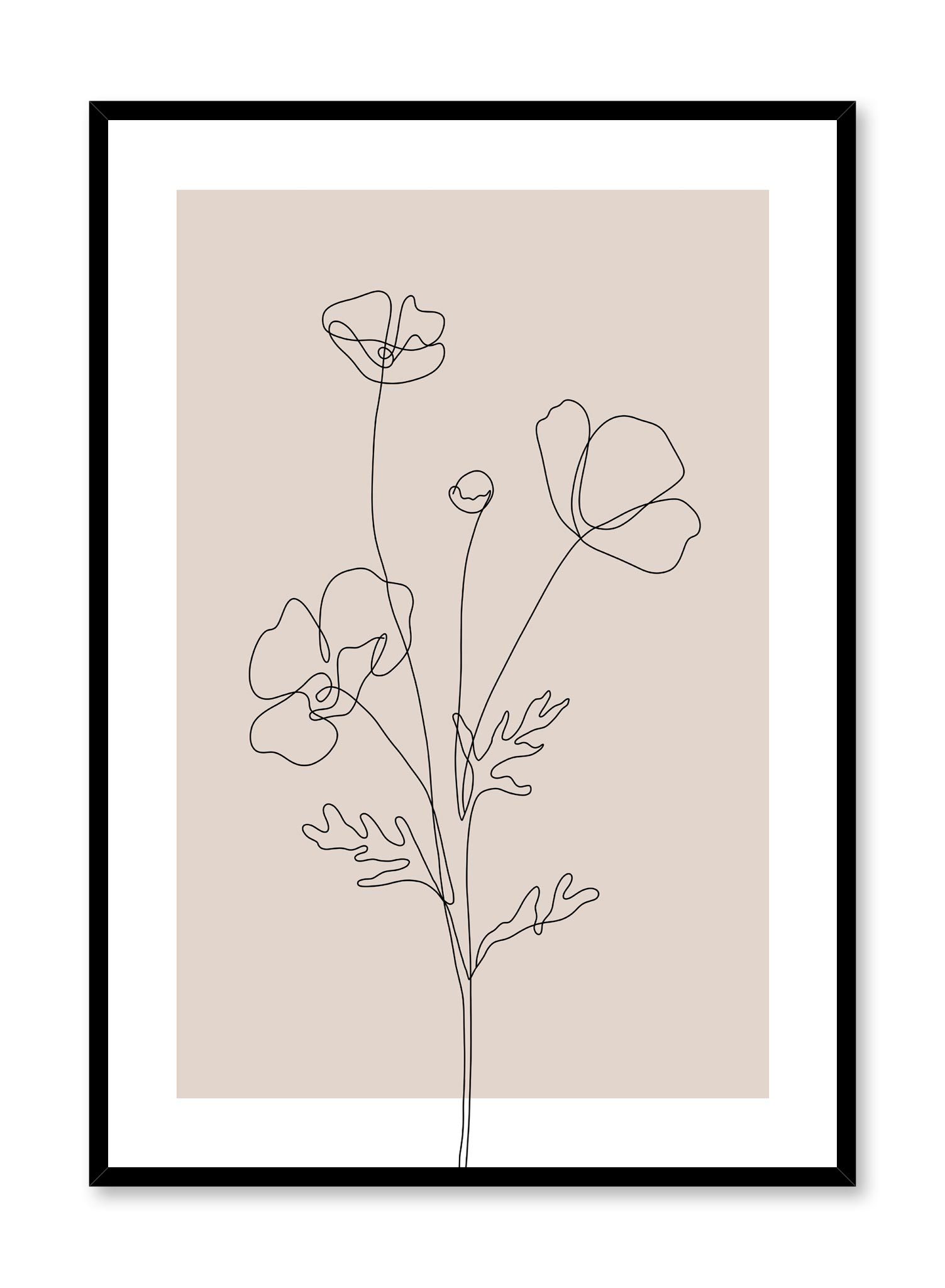 Poppy Sketch In Pink Poster Prints Wall Art Gift For Home Decoration 12x18 16x24 20x30 24x36 Inches