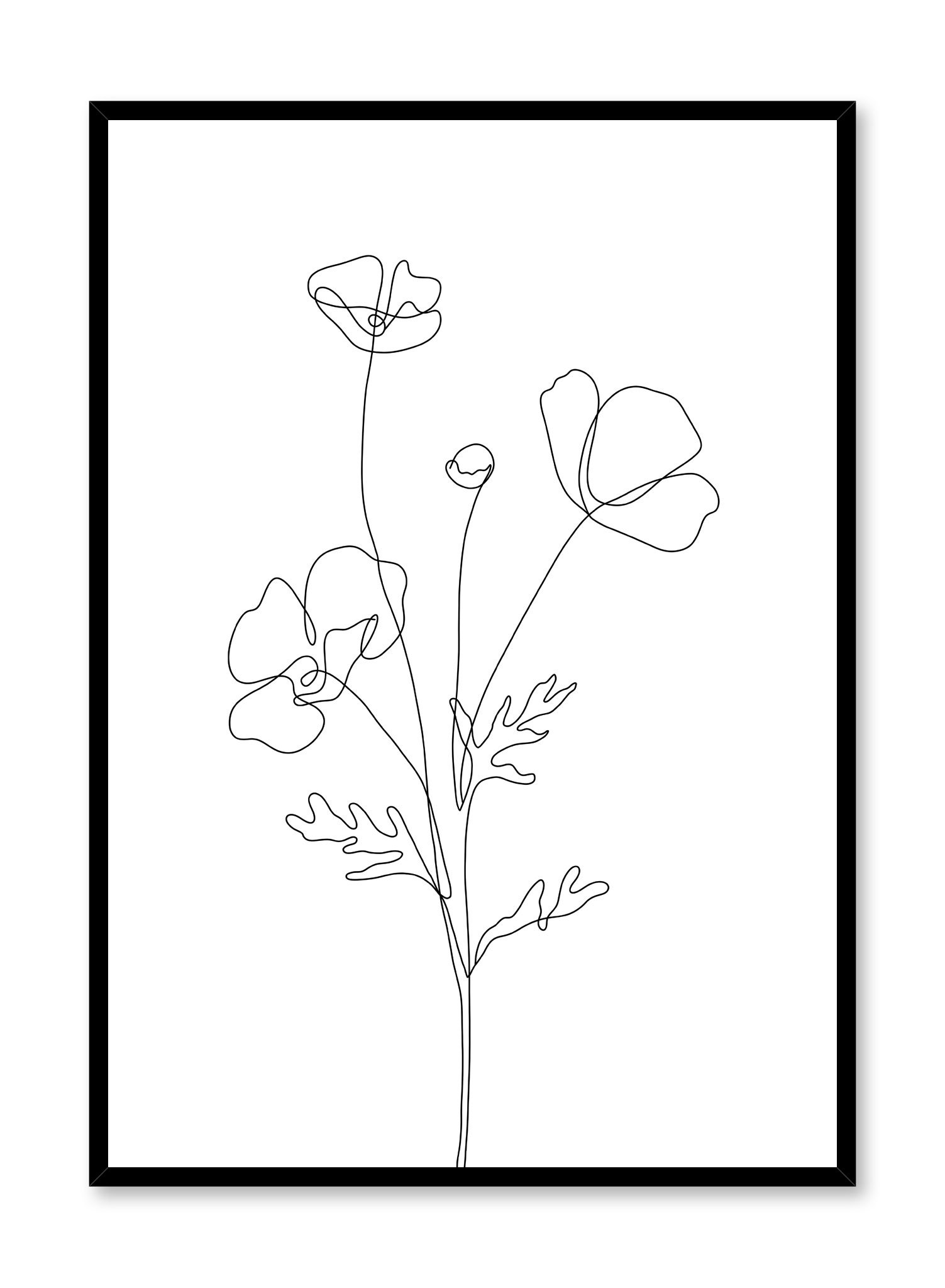 Poppy Sketch Poster Prints Wall Art Gift For Home Decoration 12x18 16x24 20x30 24x36 Inches