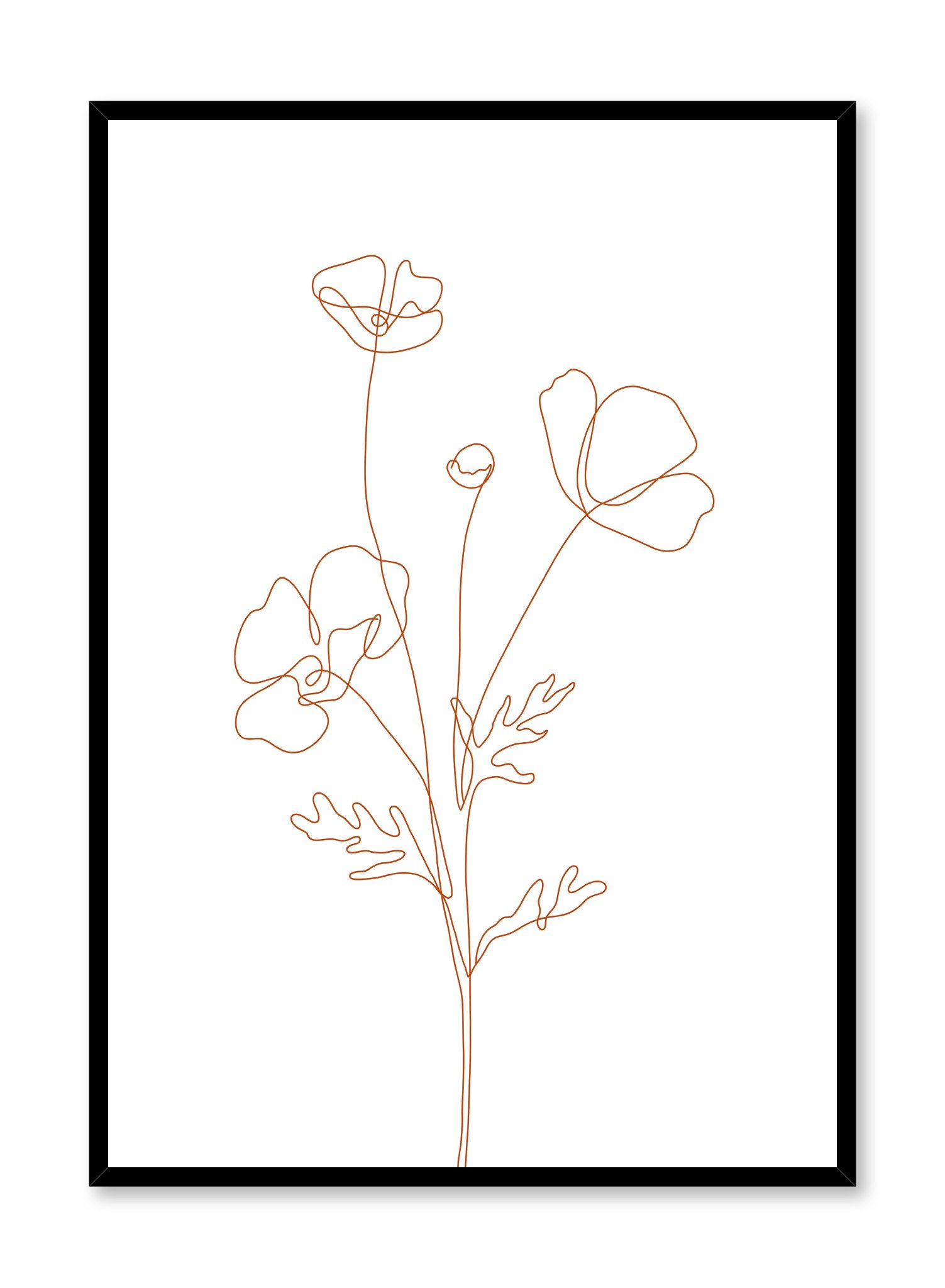 Poppy Sketch With Orange Lines Poster Prints Wall Art Gift For Home Decoration 12x18 16x24 20x30 24x36 Inches