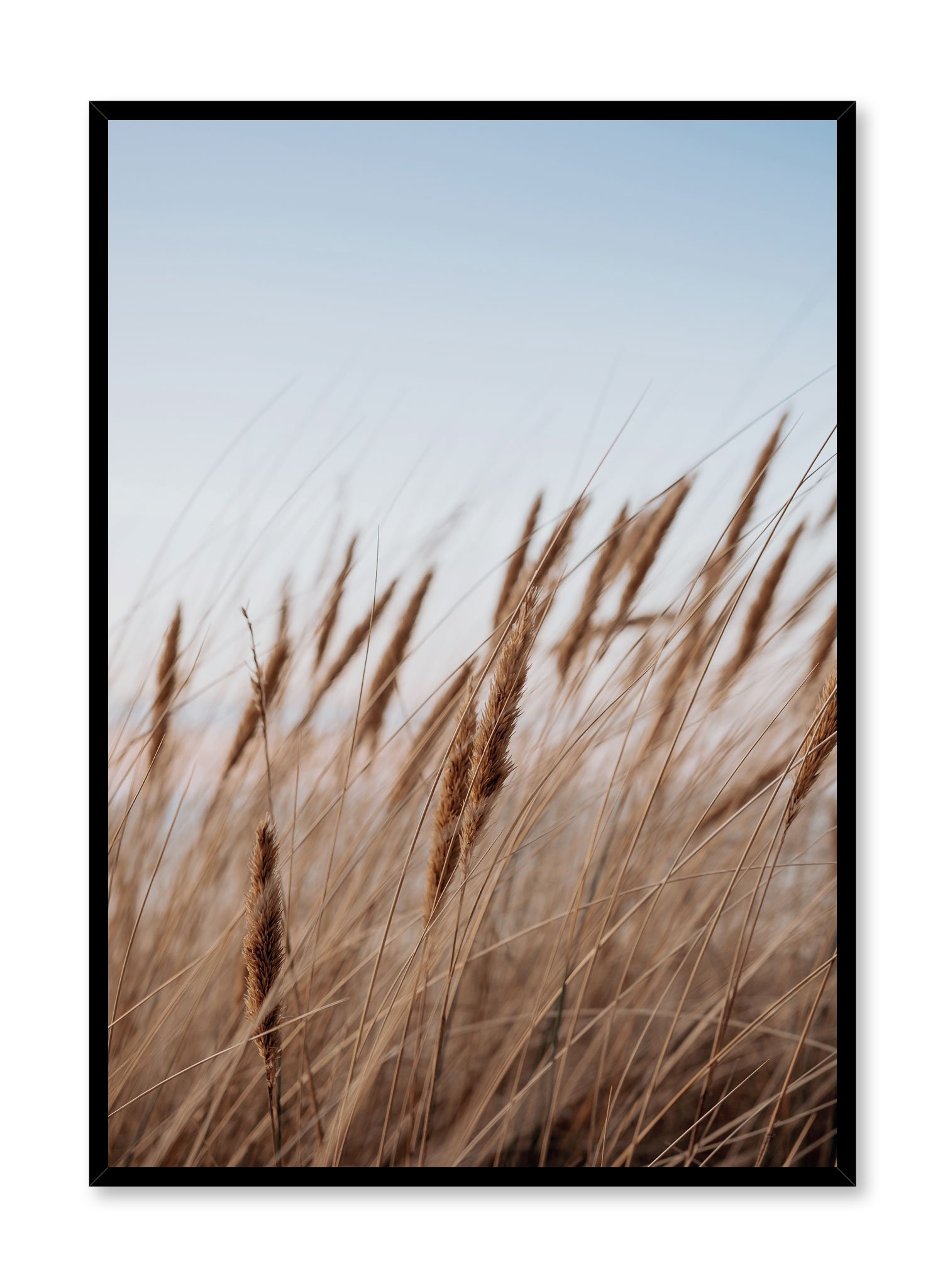 Prairie Feathers Poster Prints Wall Art Gift For Home Decoration 12x18 16x24 20x30 24x36 Inches
