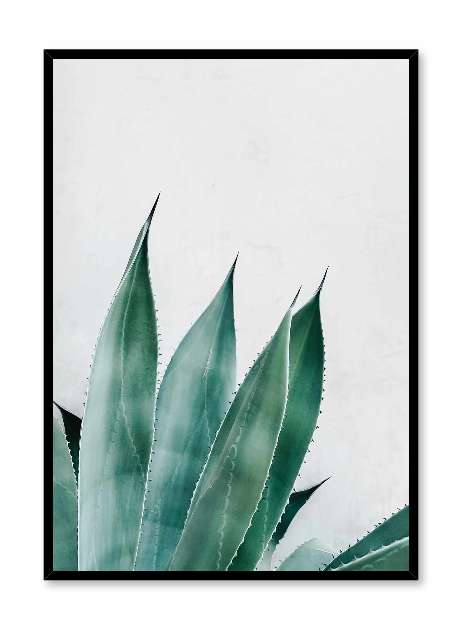 Prickly Leaves Poster Prints Wall Art Gift For Home Decoration 12x18 16x24 20x30 24x36 Inches