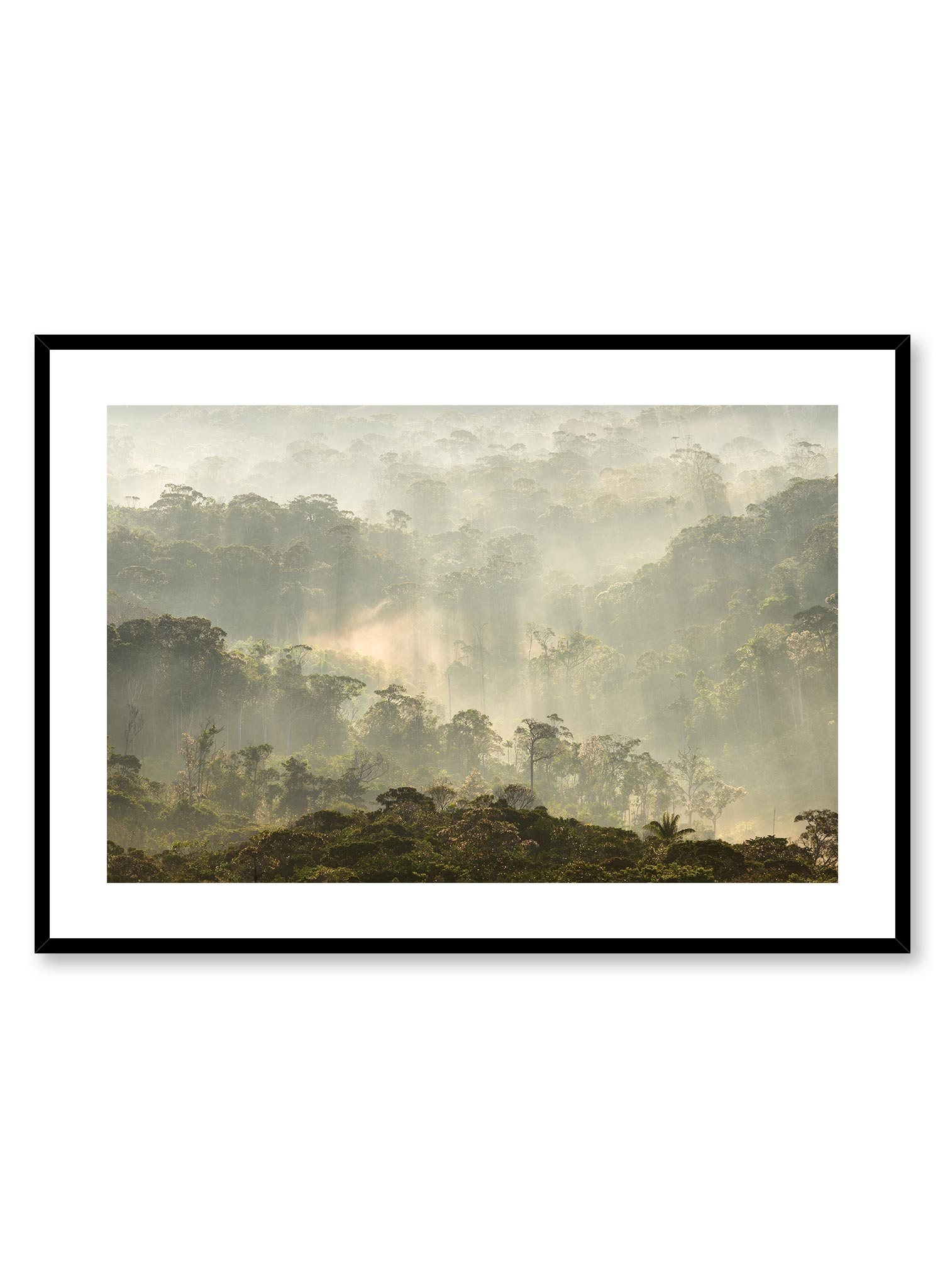 Rainforest Poster Prints Wall Art Gift For Home Decoration 12x18 16x24 20x30 24x36 Inches