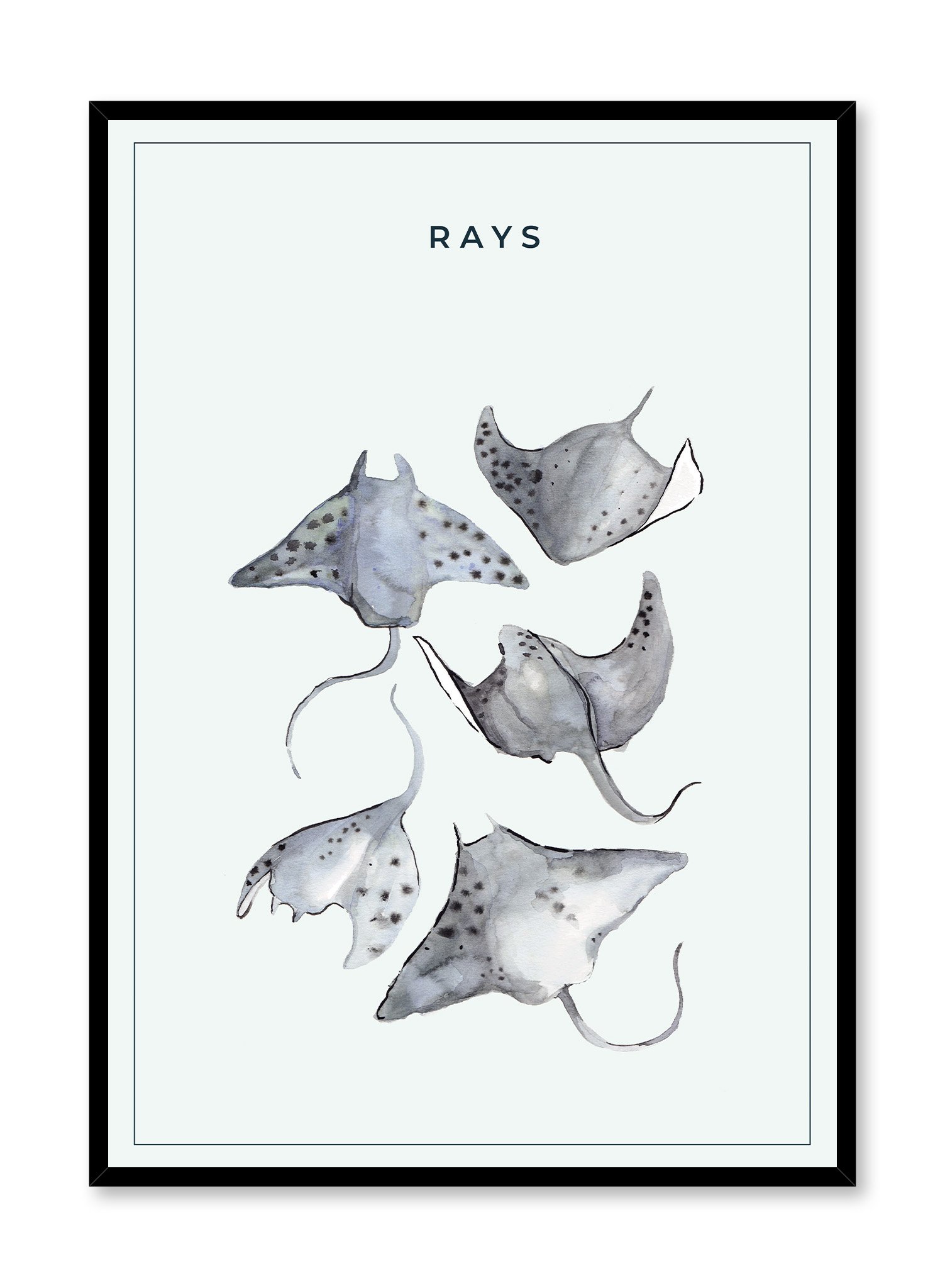 Ray Gang Poster Prints Wall Art Gift For Home Decoration 12x18 16x24 20x30 24x36 Inches