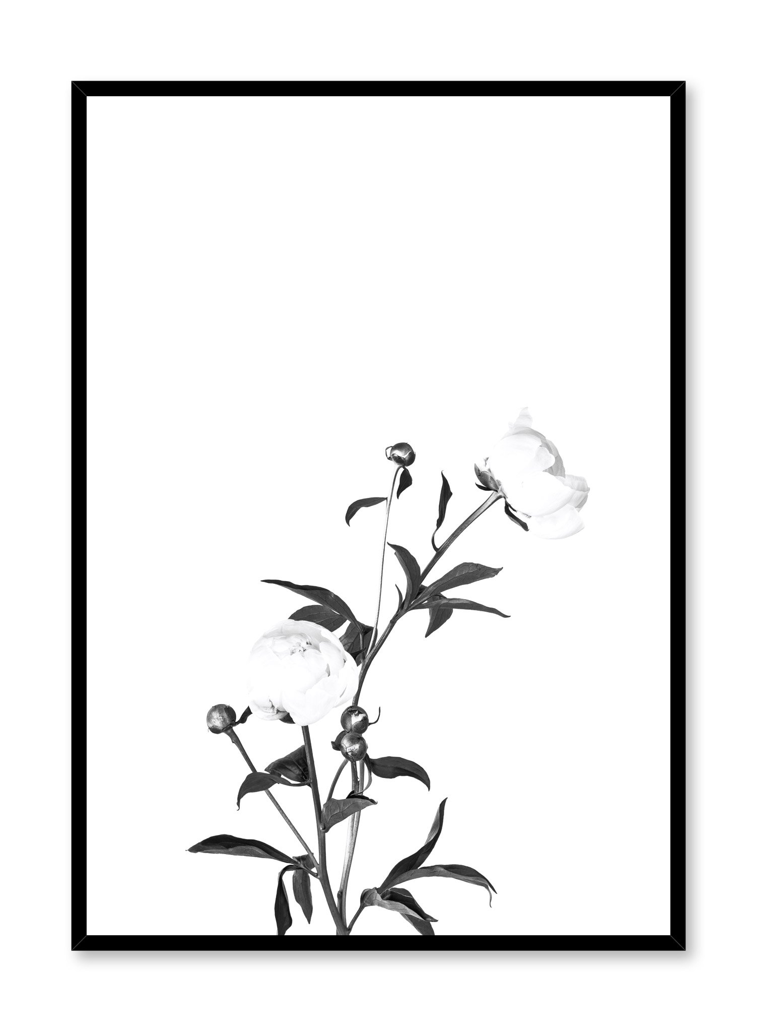 Romance In Black Poster Prints Wall Art Gift For Home Decoration 12x18 16x24 20x30 24x36 Inches