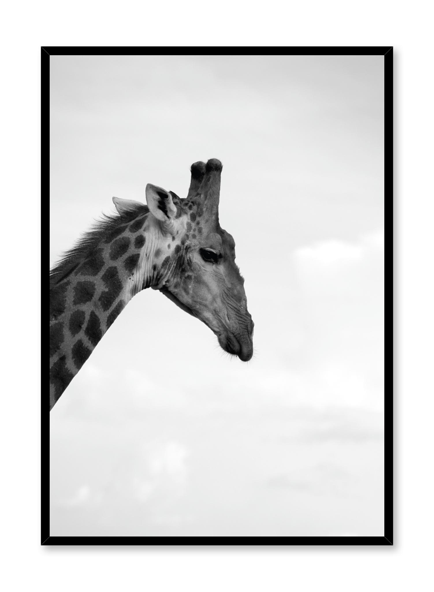 Safari Poster Prints Wall Art Gift For Home Decoration 12x18 16x24 20x30 24x36 Inches