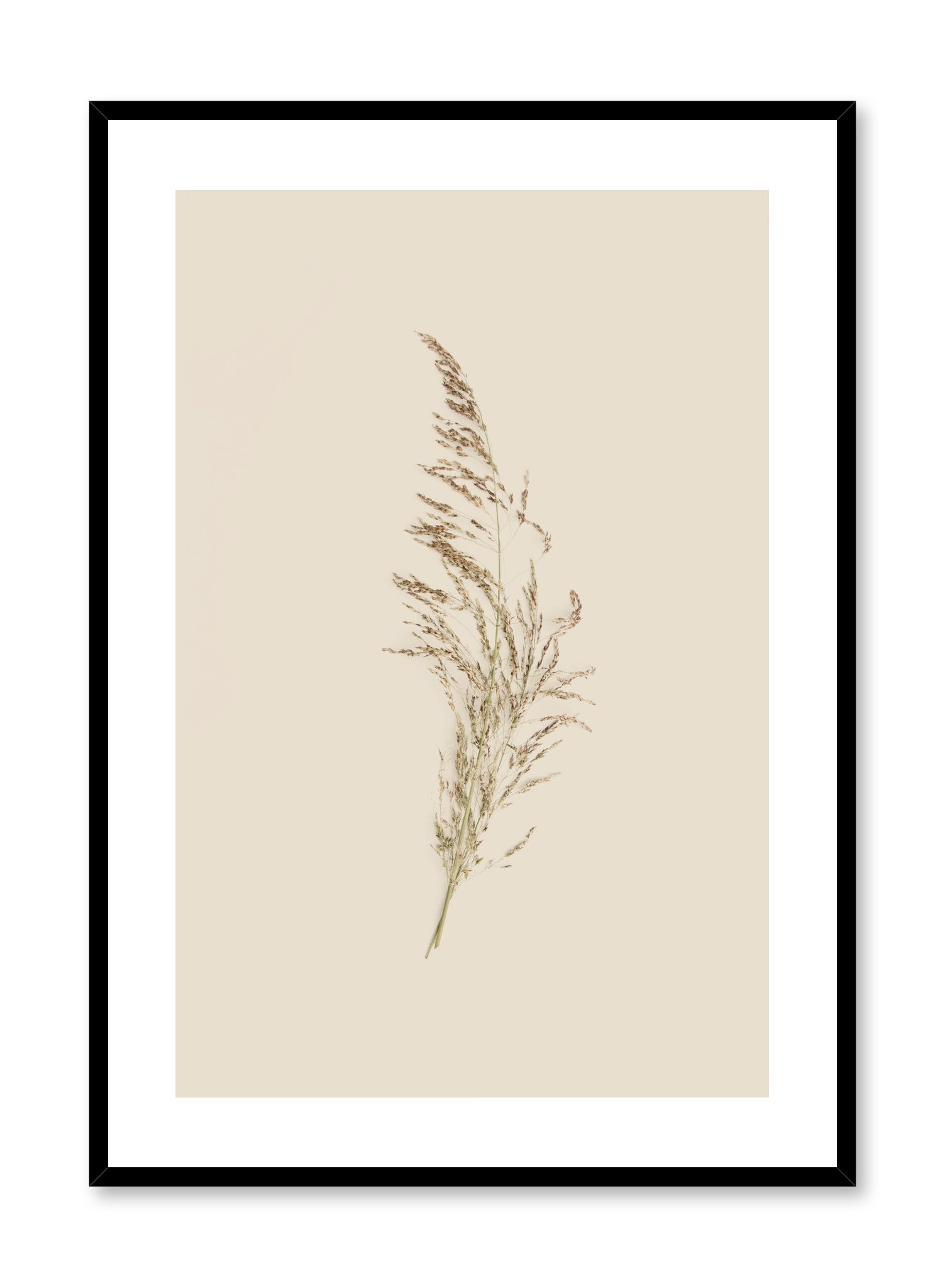 Solo Poster Prints Wall Art Gift For Home Decoration 12x18 16x24 20x30 24x36 Inches