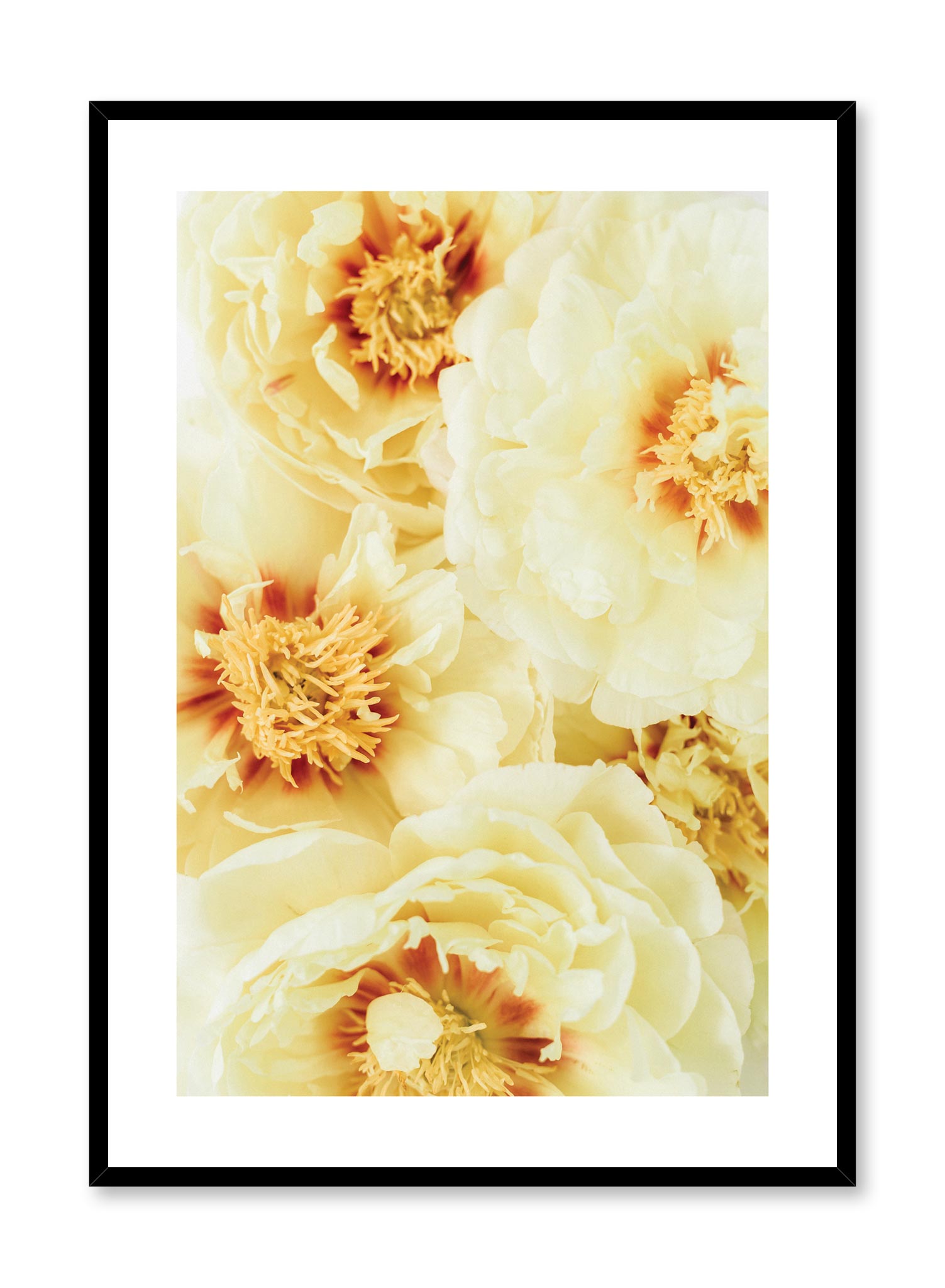 Sunburst Poster Prints Wall Art Gift For Home Decoration 12x18 16x24 20x30 24x36 Inches