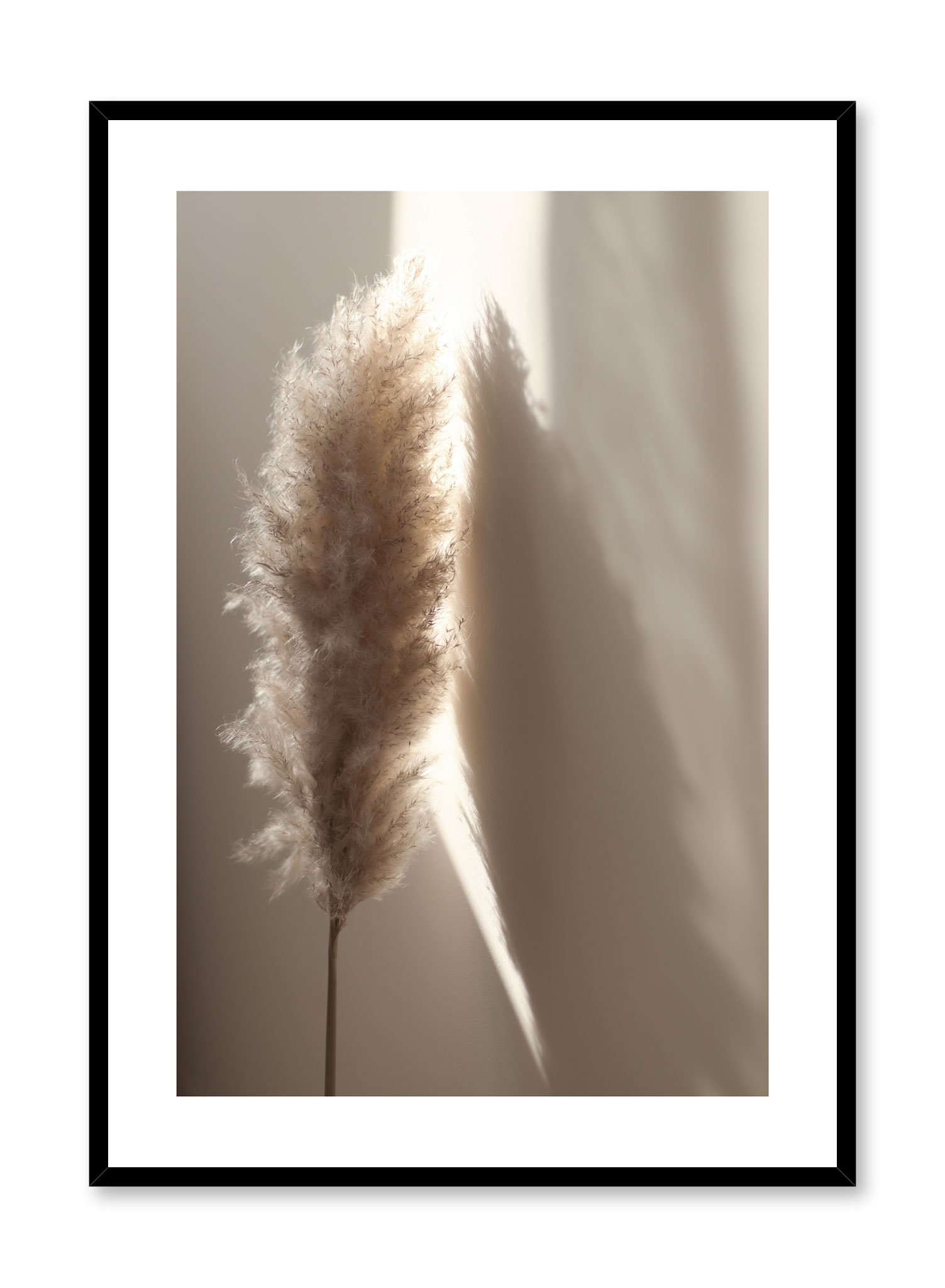 Sunlit Pampas Poster Prints Wall Art Gift For Home Decoration 12x18 16x24 20x30 24x36 Inches