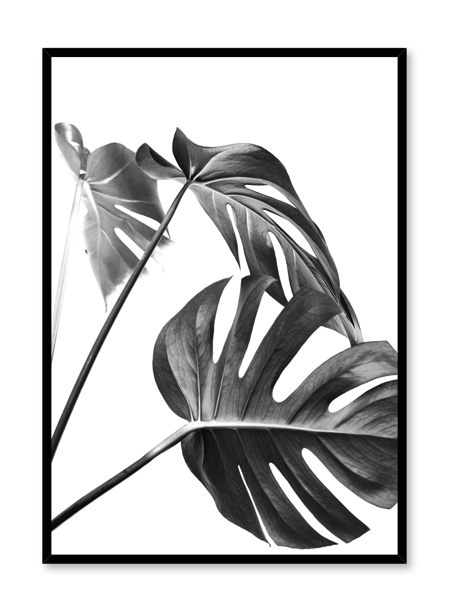 Three's A Charm In Black Poster Prints Wall Art Gift For Home Decoration 12x18 16x24 20x30 24x36 Inches