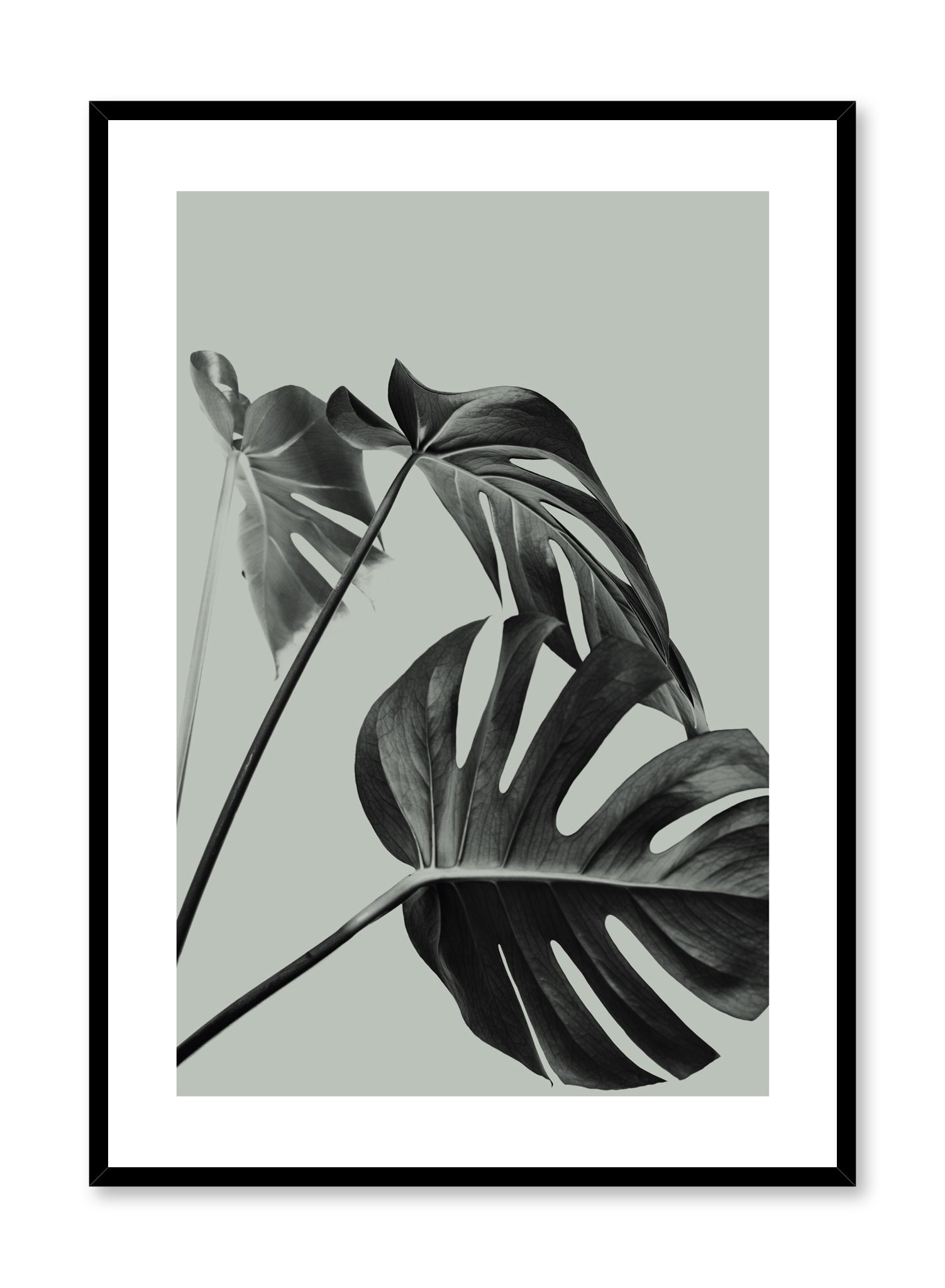 Three's A Charm In Green Poster Prints Wall Art Gift For Home Decoration 12x18 16x24 20x30 24x36 Inches