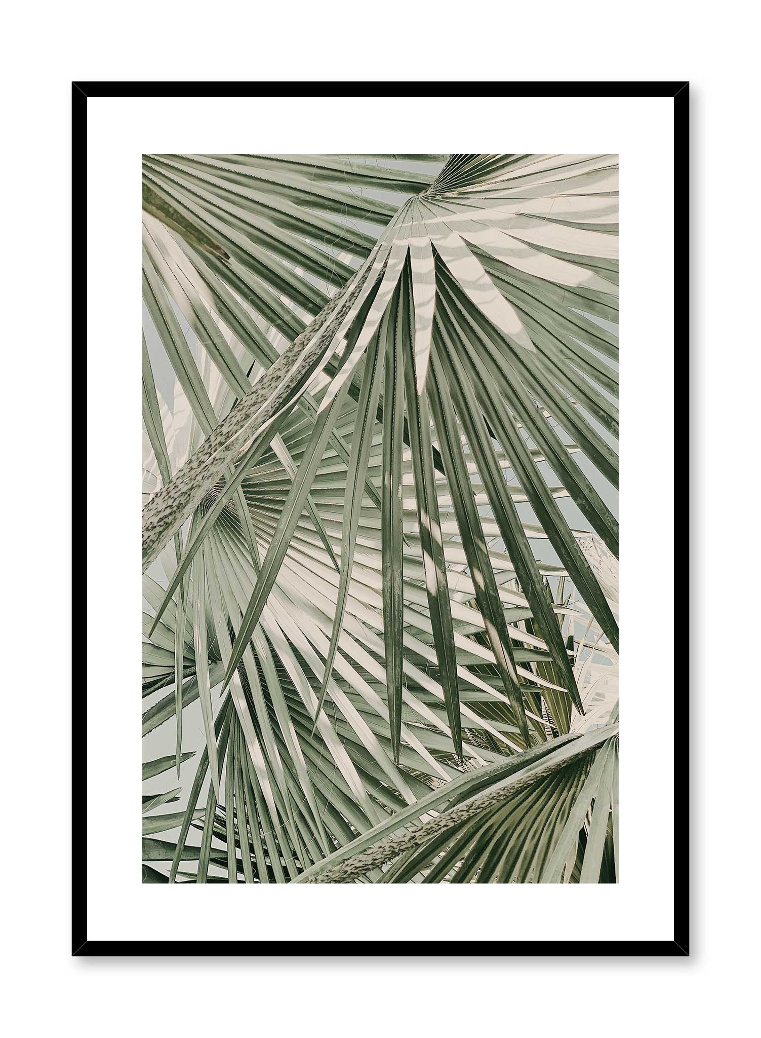 Through The Bush Poster Prints Wall Art Gift For Home Decoration 12x18 16x24 20x30 24x36 Inches