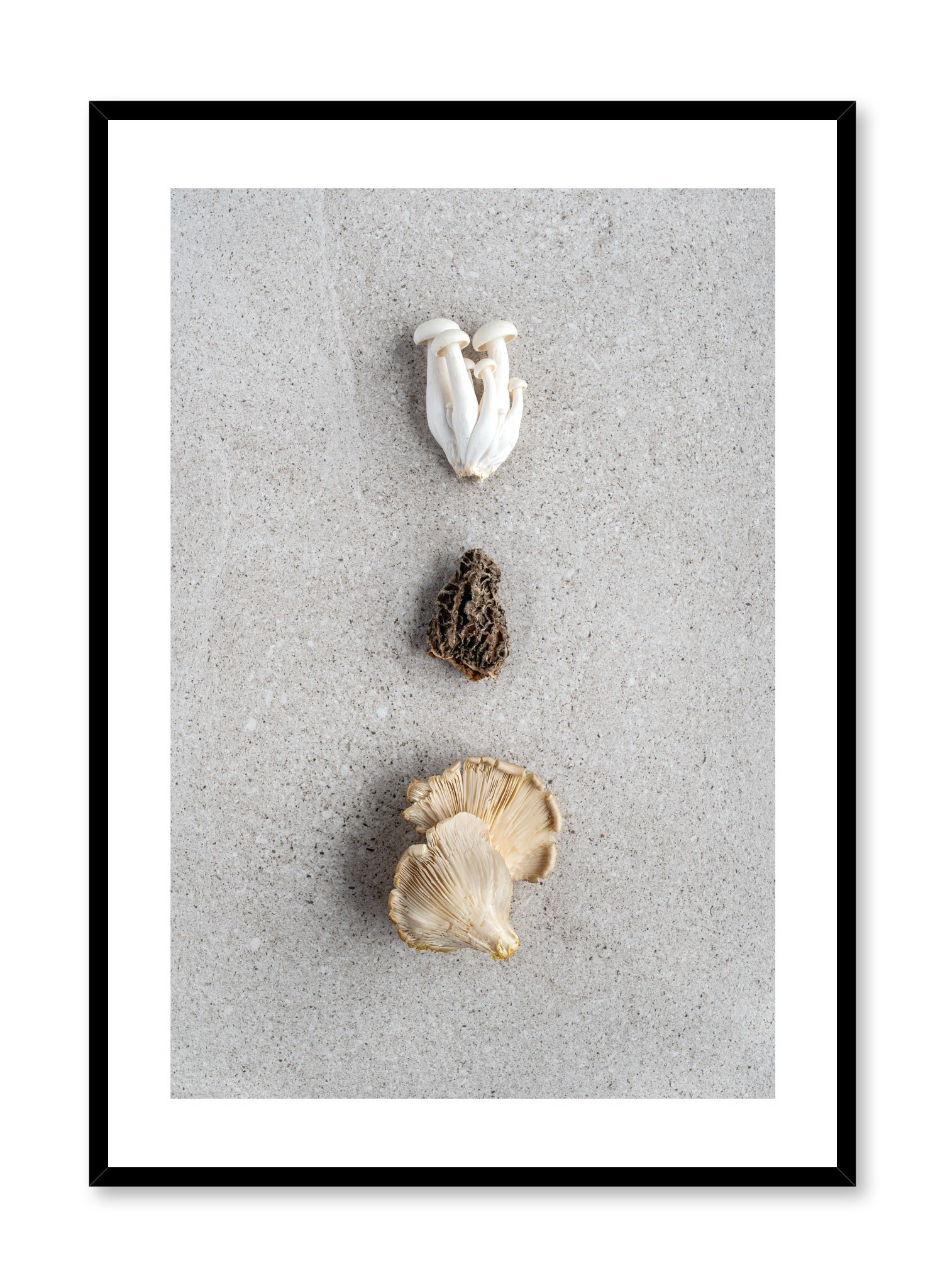 Trio Of Mushrooms Poster Prints Wall Art Gift For Home Decoration 12x18 16x24 20x30 24x36 Inches