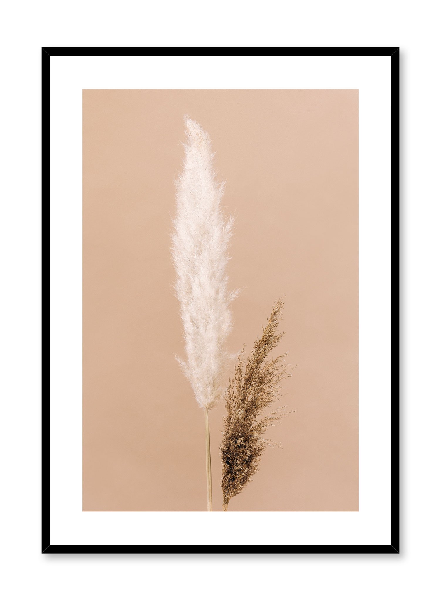 Two-Toned Grasses Poster Prints Wall Art Gift For Home Decoration 12x18 16x24 20x30 24x36 Inches