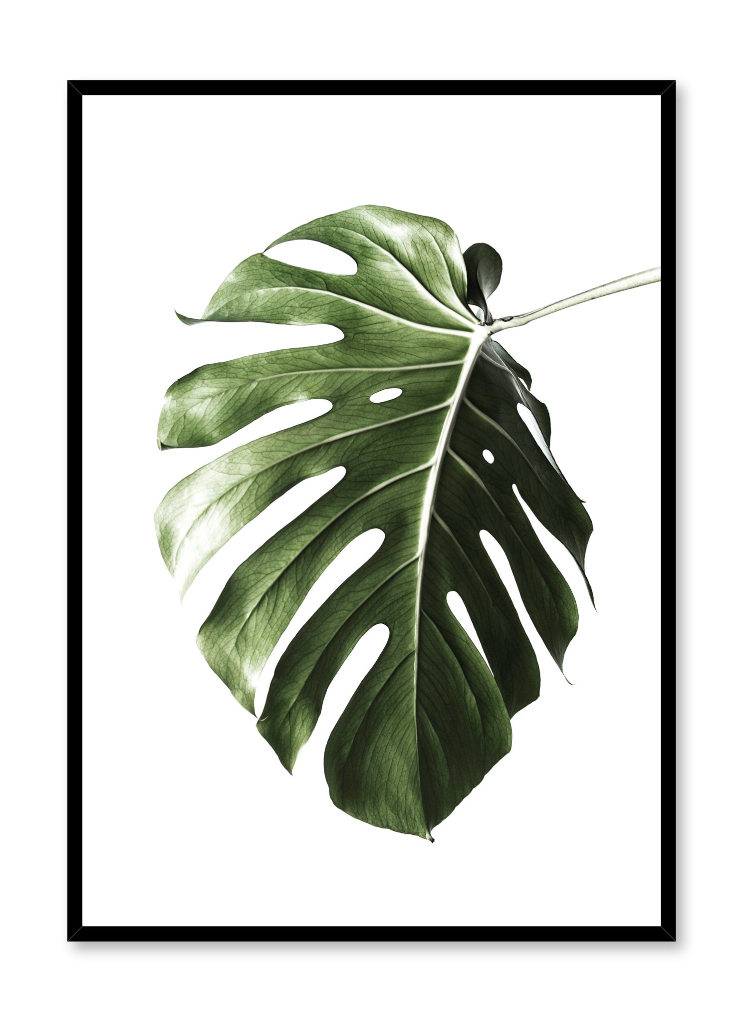 Upside Down Poster Prints Wall Art Gift For Home Decoration 12x18 16x24 20x30 24x36 Inches