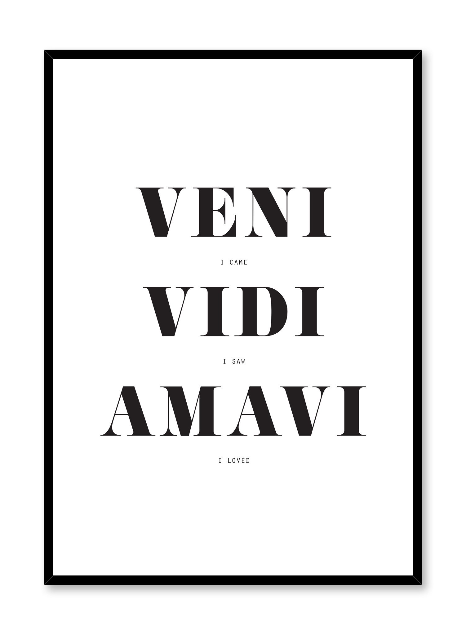 Veni Vidi Amavi Poster Prints Wall Art Gift For Home Decoration 12x18 16x24 20x30 24x36 Inches