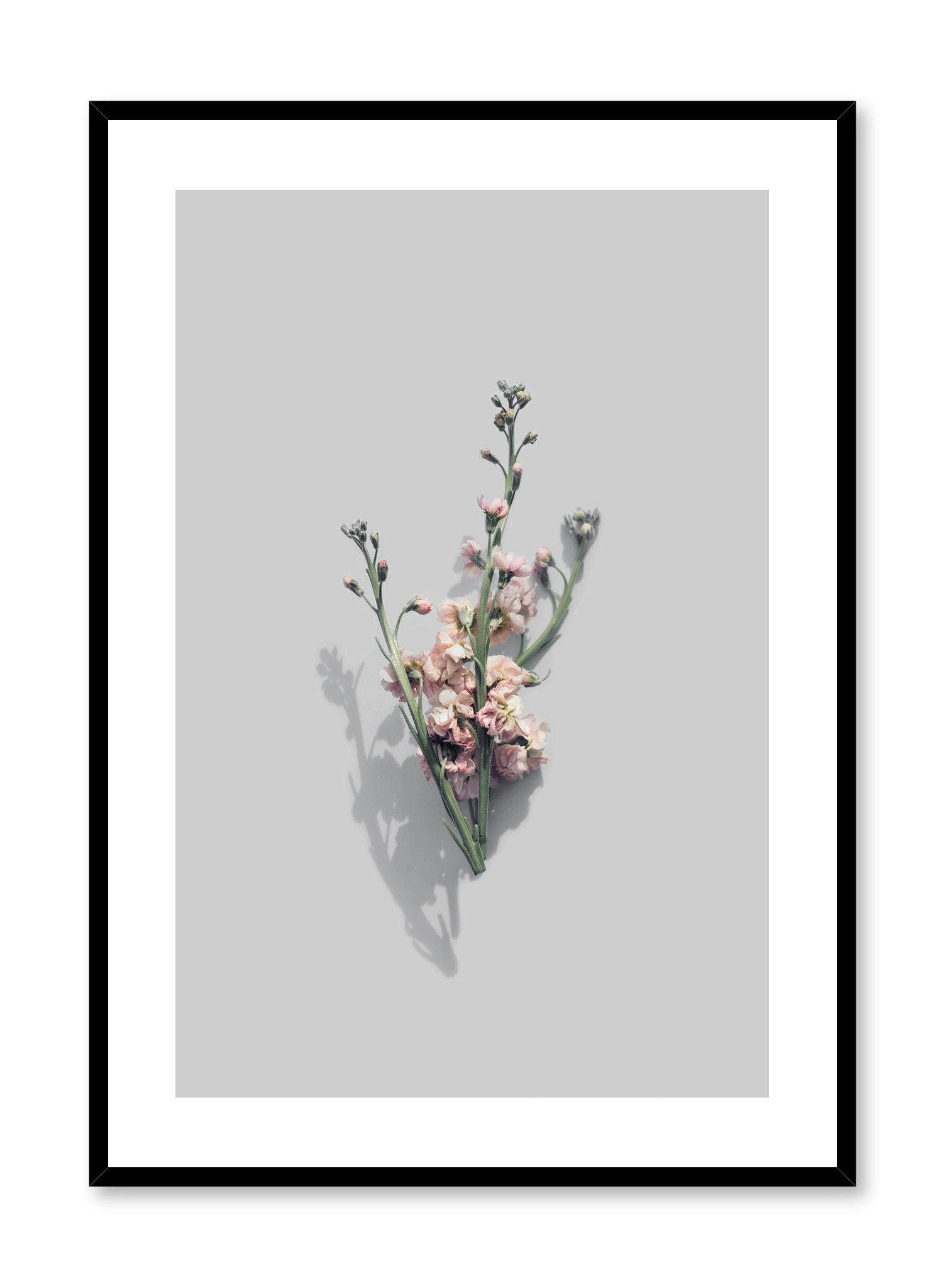 Vintage Blooms Poster Prints Wall Art Gift For Home Decoration 12x18 16x24 20x30 24x36 Inches