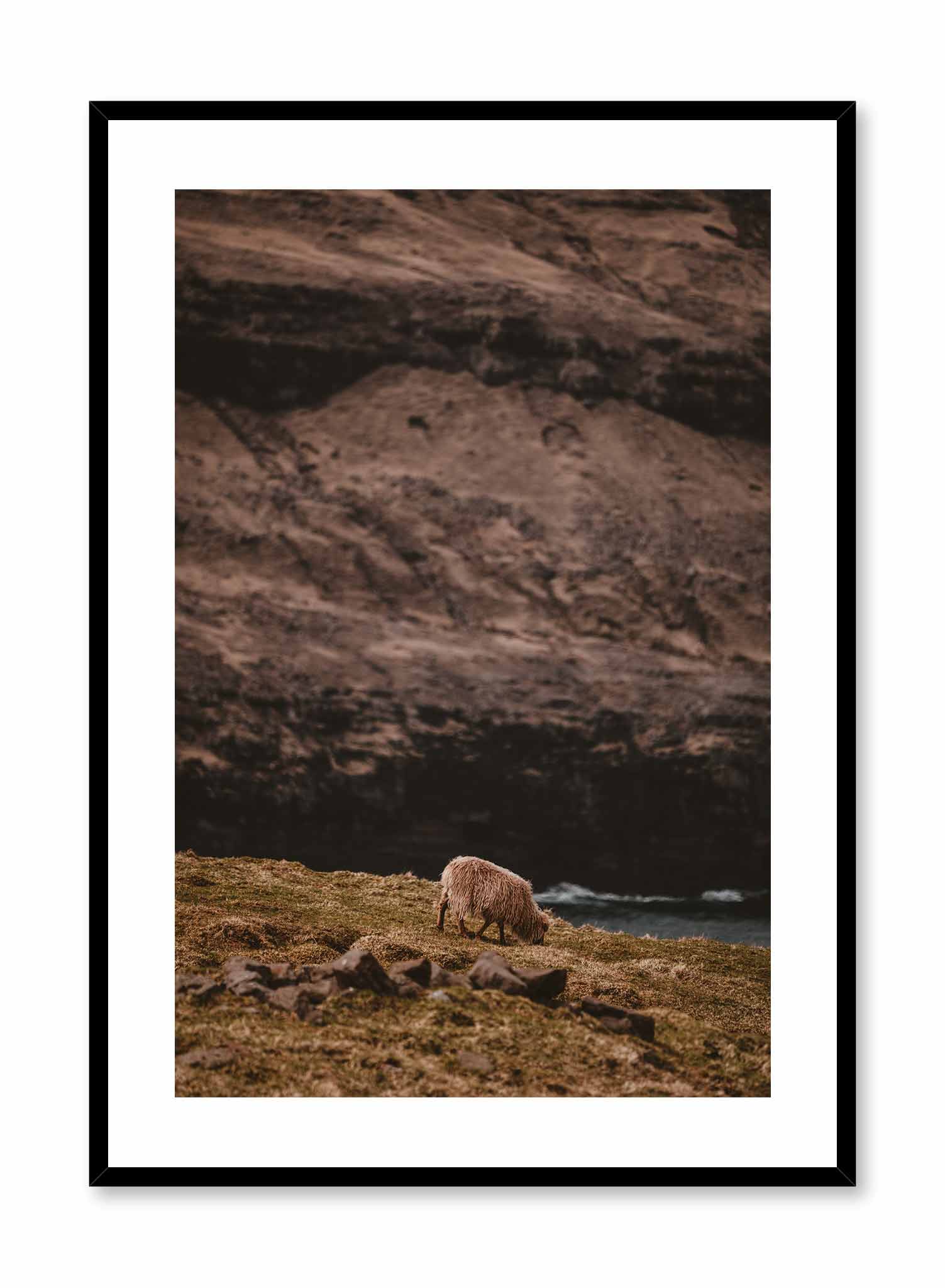 Wandering Sheep Poster Prints Wall Art Gift For Home Decoration 12x18 16x24 20x30 24x36 Inches