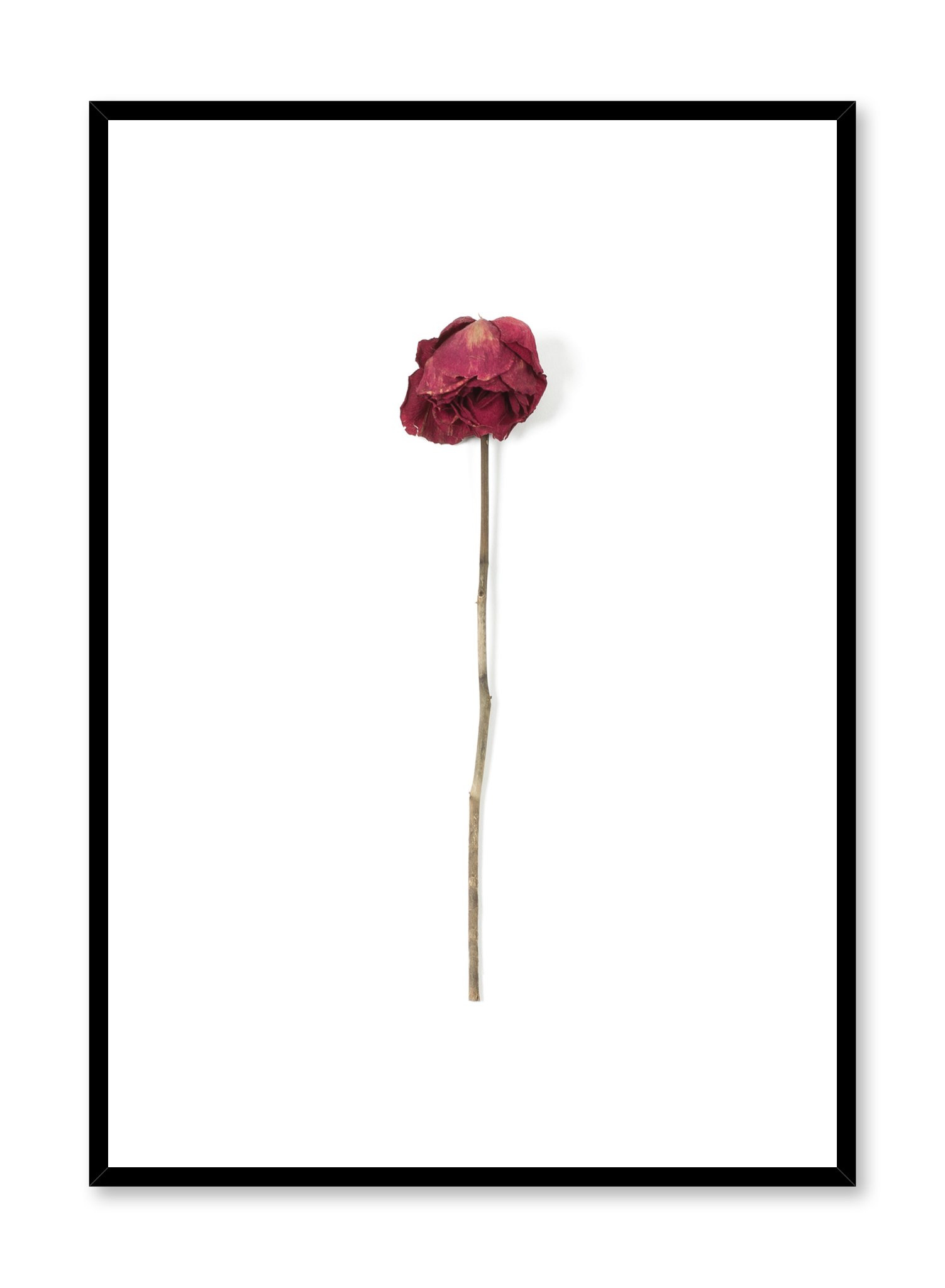 Weathered Rose Poster Prints Wall Art Gift For Home Decoration 12x18 16x24 20x30 24x36 Inches