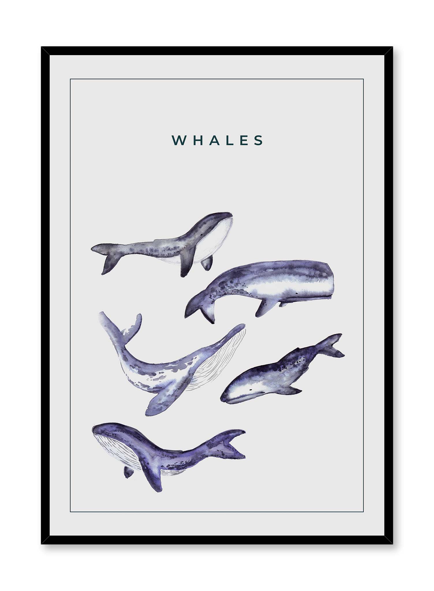Whale Gang Poster Prints Wall Art Gift For Home Decoration 12x18 16x24 20x30 24x36 Inches