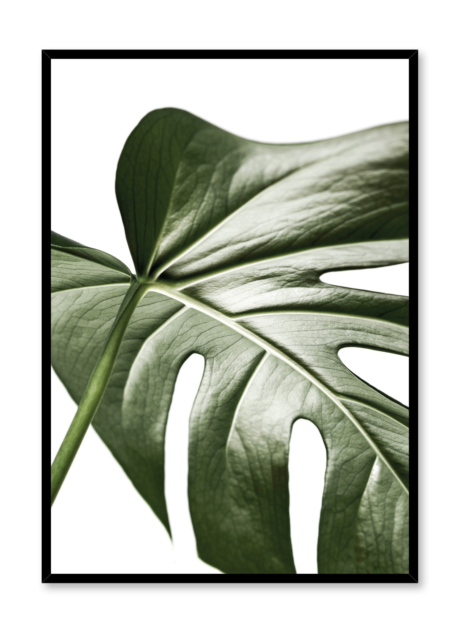 Widespread Wonder Poster Prints Wall Art Gift For Home Decoration 12x18 16x24 20x30 24x36 Inches