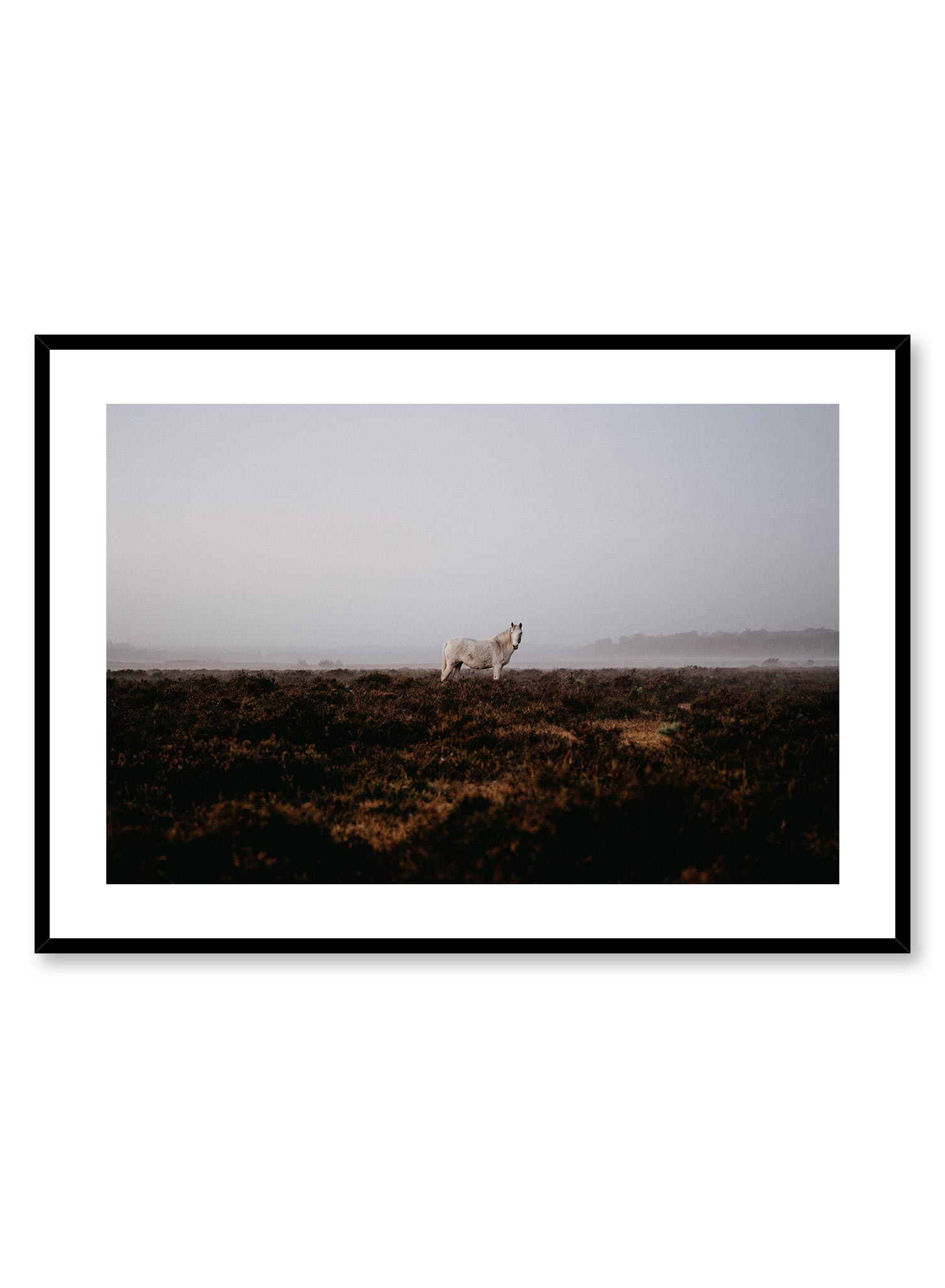 Wild Horse Poster Prints Wall Art Gift For Home Decoration 12x18 16x24 20x30 24x36 Inches