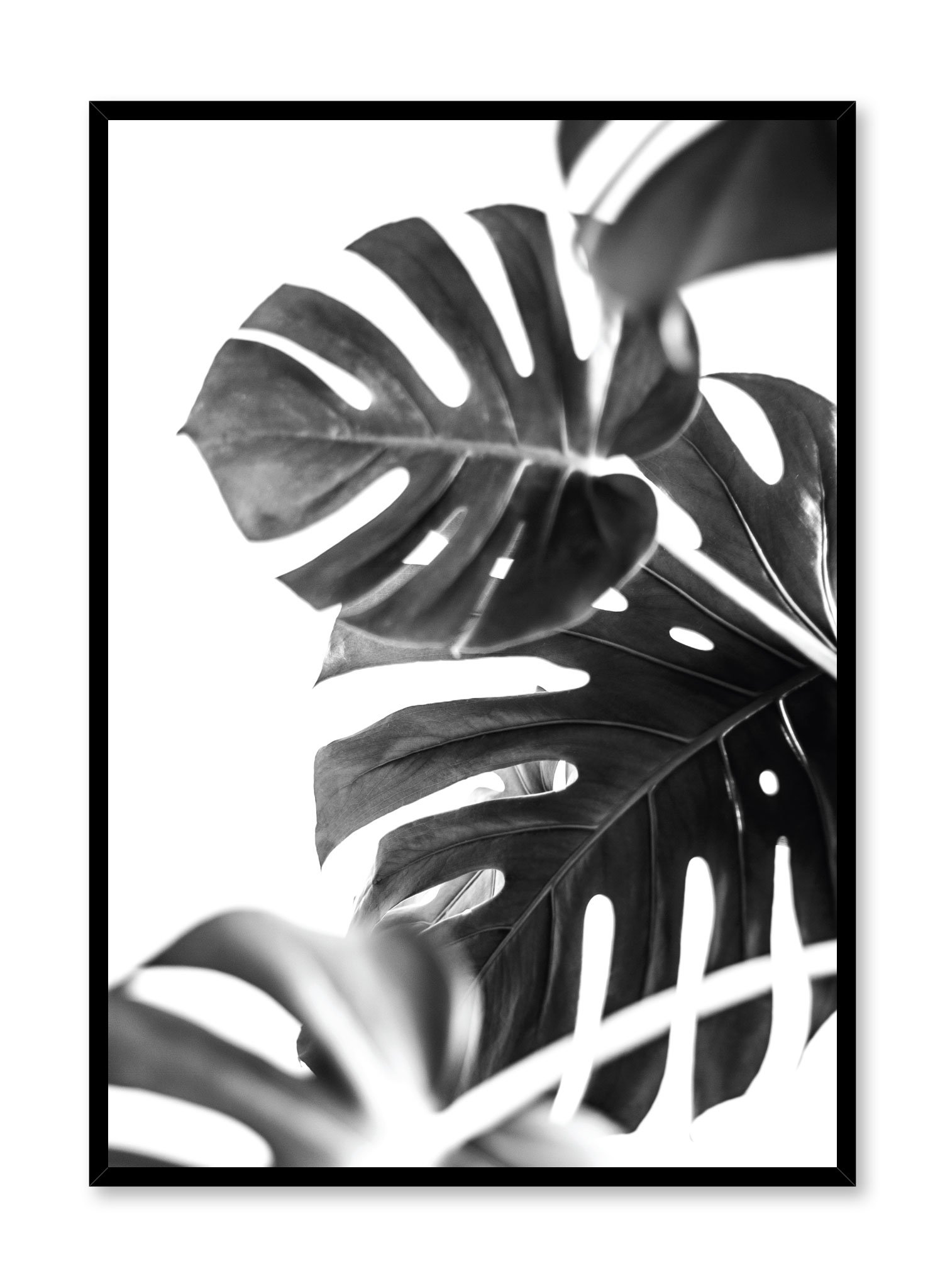 Wild Ways In Black Poster Prints Wall Art Gift For Home Decoration 12x18 16x24 20x30 24x36 Inches