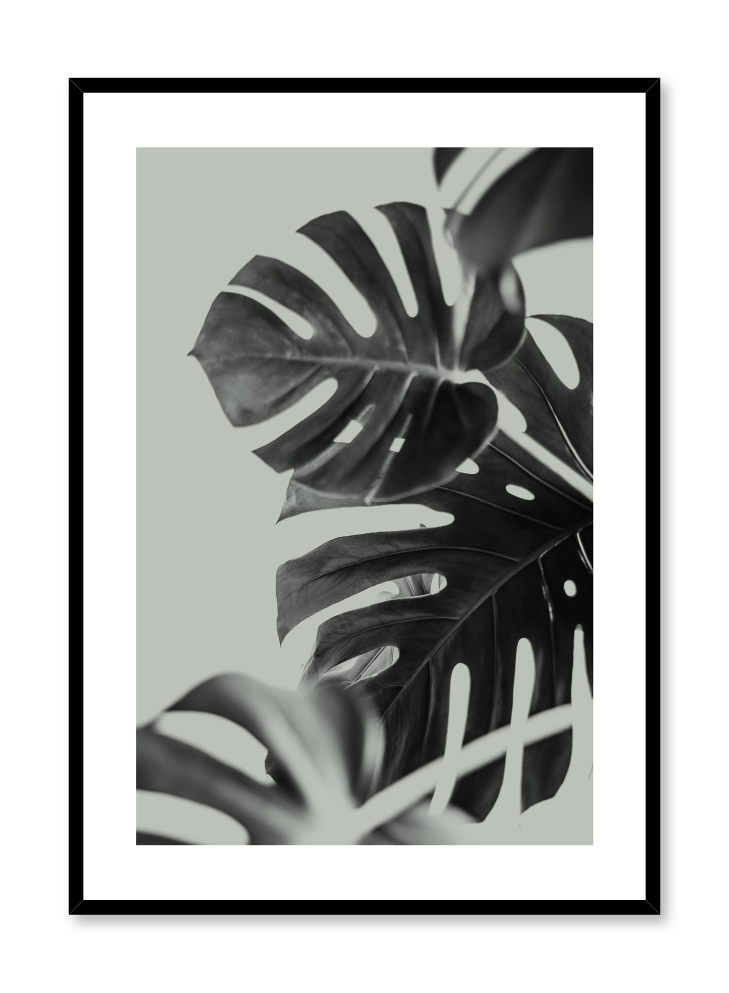 Wild Ways In Green Poster Prints Wall Art Gift For Home Decoration 12x18 16x24 20x30 24x36 Inches