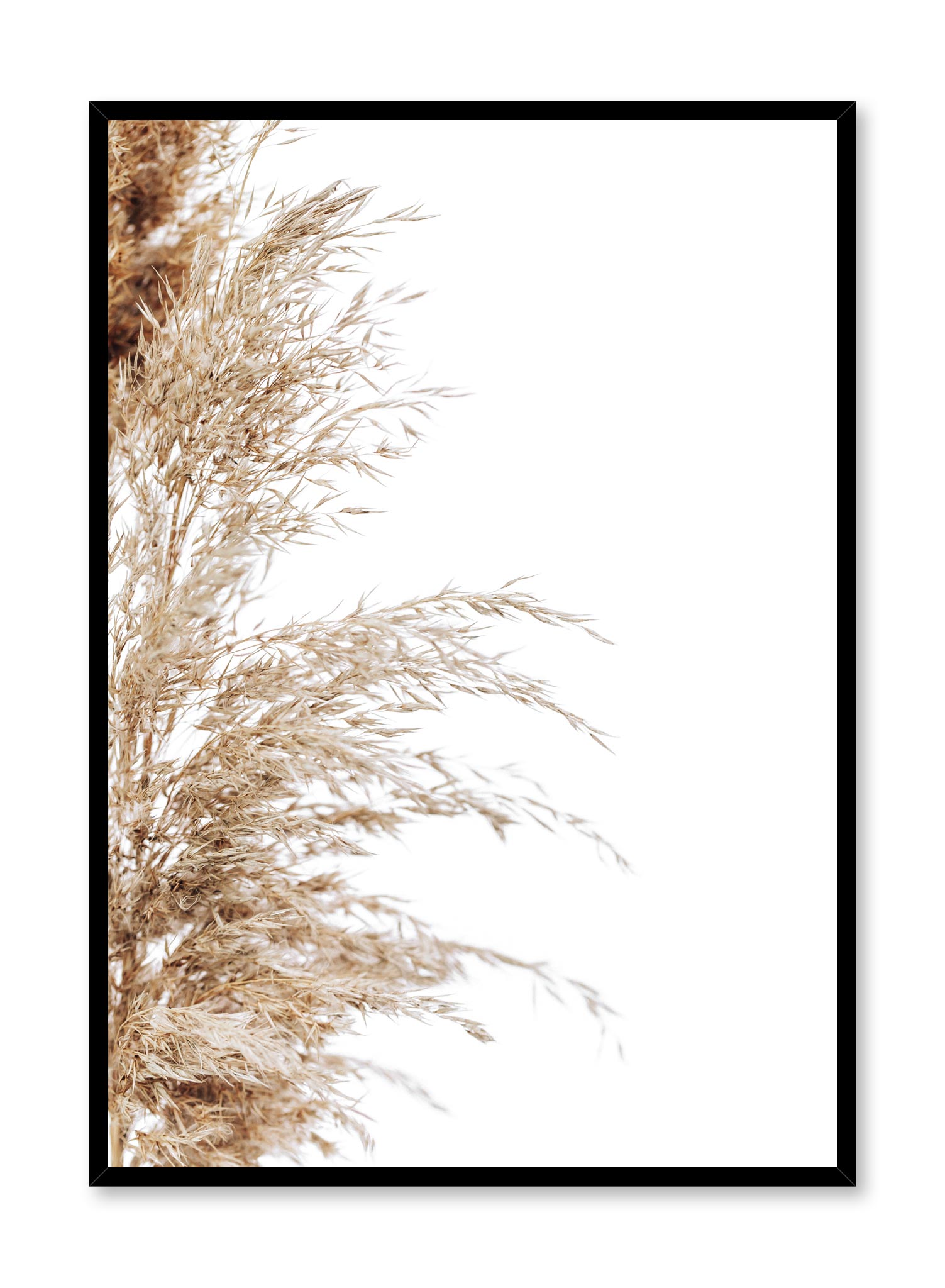 Wispy Grasses Poster Prints Wall Art Gift For Home Decoration 12x18 16x24 20x30 24x36 Inches